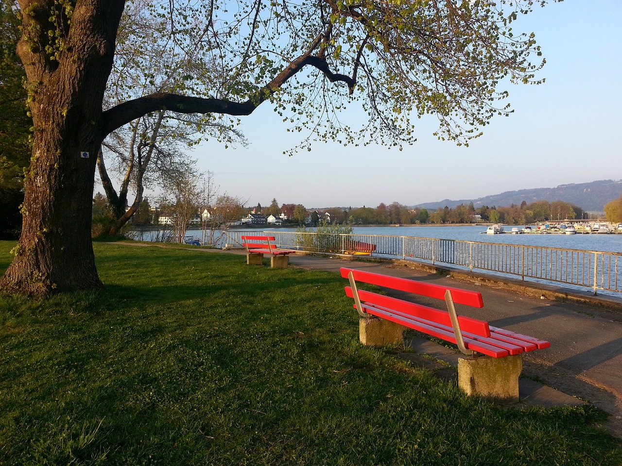 体测包括耐 体测包括耐