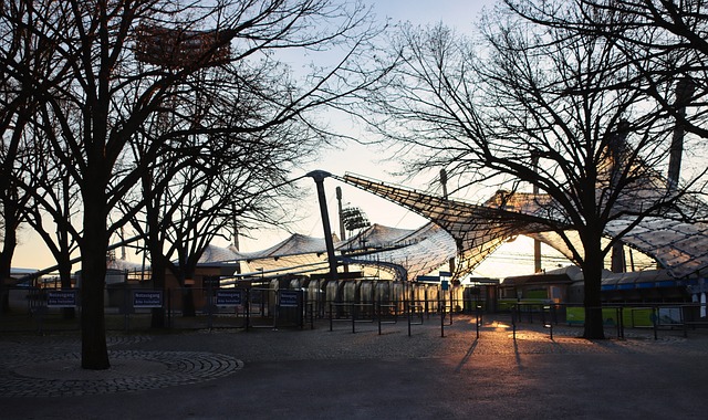 提出了极高 提出了极高