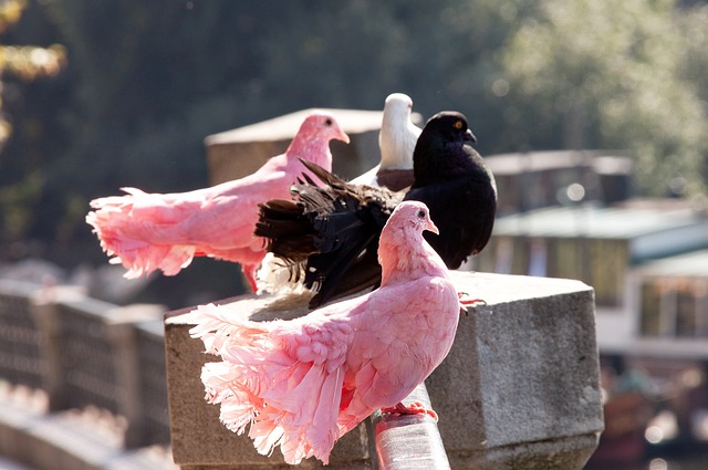 球队的表现 球队的表现