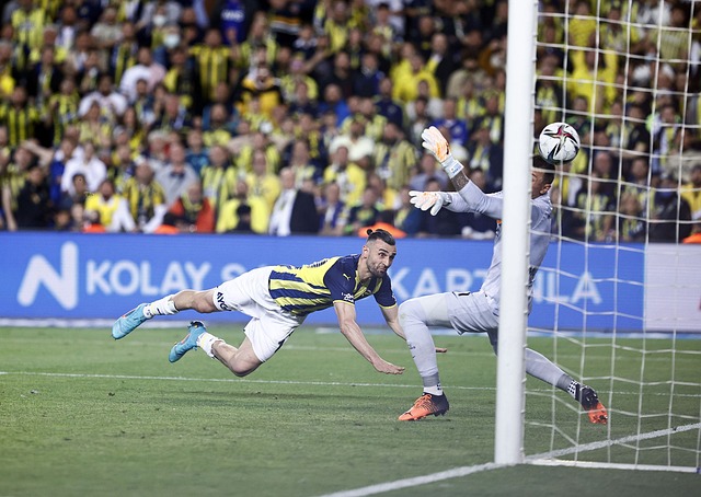 表現亮眼 表現亮眼