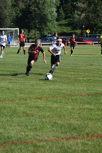 实现城乡资 实现城乡资