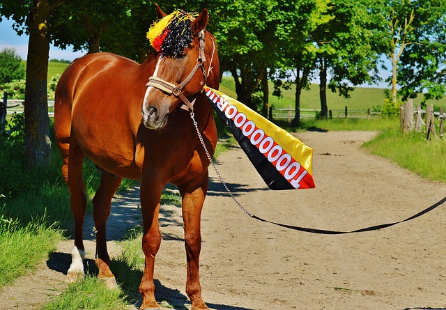 尼修斯或将 尼修斯或将